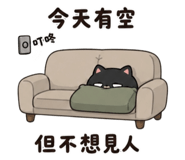 875101977