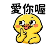 875102804