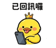 875102817