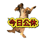 875103315
