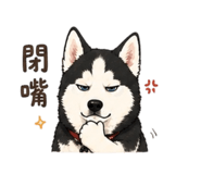 875104482