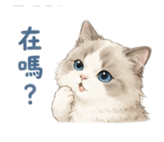 875104495