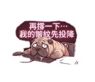 875104674