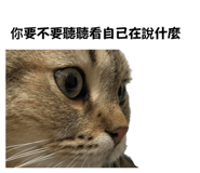 875105241