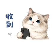 875105279