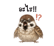 875108791