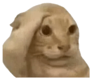 875115713