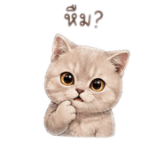 875118675