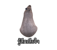 875142898