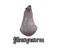 875142899