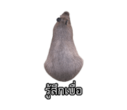 875142900