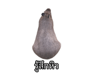 875142901