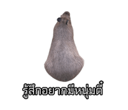 875142907