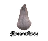 875142908