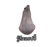 875142911