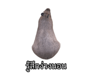 875142913