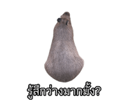 875142914