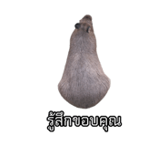 875142915