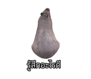 875142916