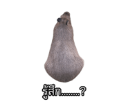 875142920