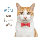 875152847