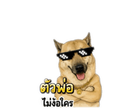 875155617