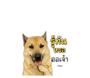 875155626