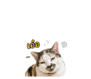 875159769