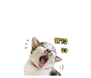 875159780