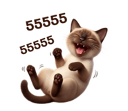 875166334