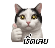 875214476