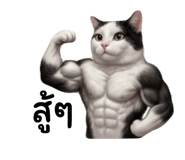 875214481