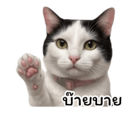 875214482