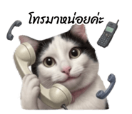 875214499