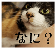875299989