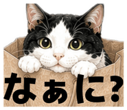 875301678