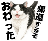 875301680