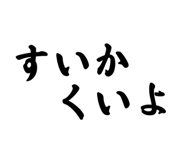 875315666