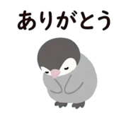 875321939