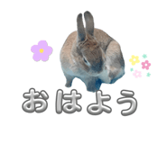 875332864