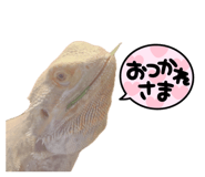 875332868