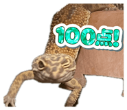875332870