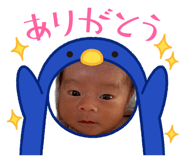 875334670