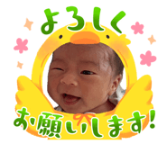 875334674