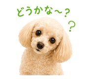 875348284