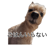 875349231
