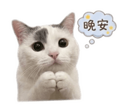875350774