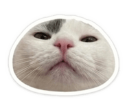 875350777