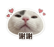 875350782