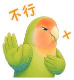 875353084